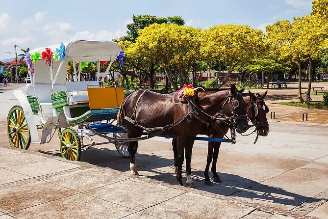 A horse-drawn carriage waiting on Granada's central square