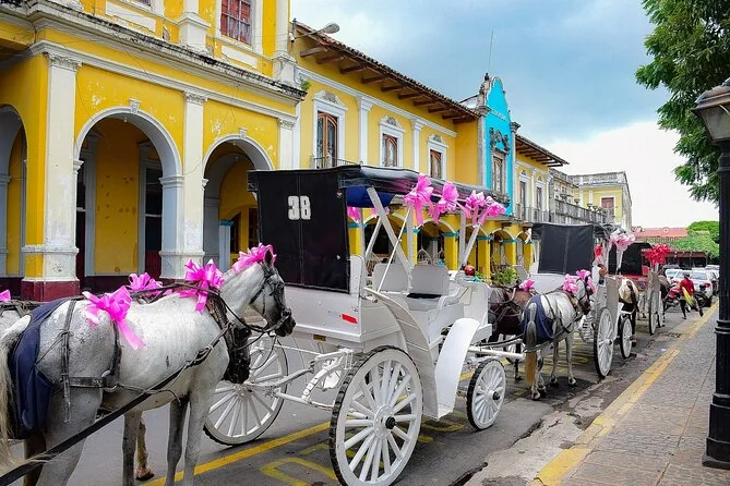 Pferdekutschen auf einer Straße in Granada